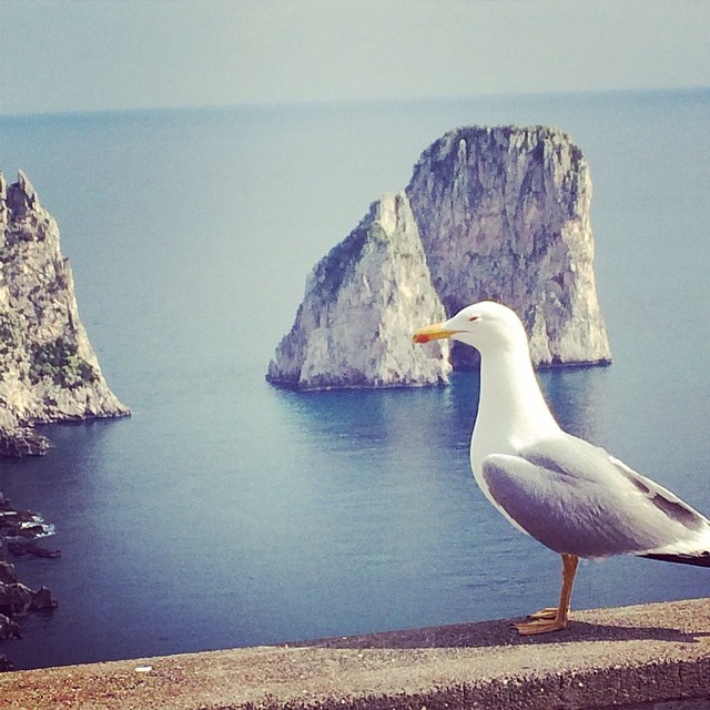 Italy Photo by italylover