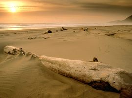 Various Locations Photo by serg